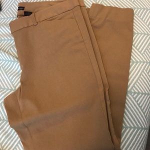 The Limited Ideal Stretch 10 Tan